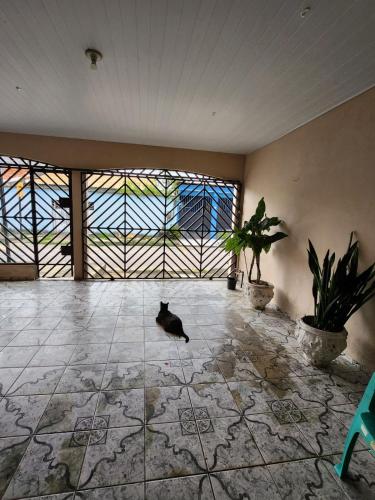 un gato sentado en el suelo en una habitación con ventanas en Casa para Cop 30, en Ananindeua