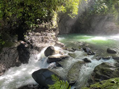 a river with green water and rocks in a canyon at Eco Luxe Glamping Nest #9 - 2 Queen Beds at Holos in Barú