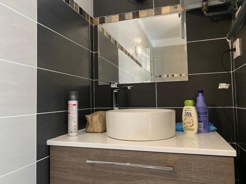 un comptoir de salle de bain avec un lavabo et un miroir dans l'établissement Studio cosy DE GAULE, à La Baule