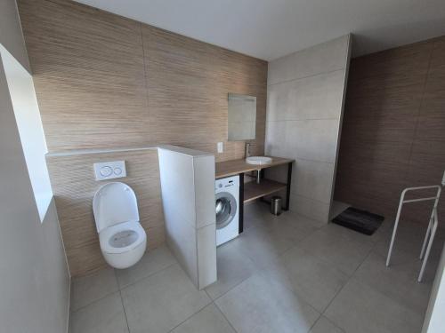 un bagno con WC e lavatrice di Hébergement Cressia a Cressia