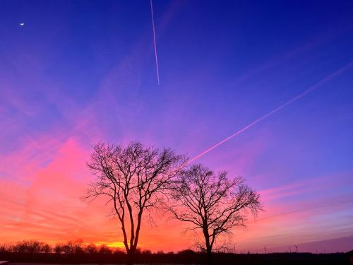 two trees in front of a colorful sky at sunset at Ferienwohnung 4 Pfoten in Vrees