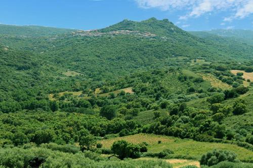 a view of a valley with trees and mountains at Ferienhaus Stazzo Mit Garten In Luogosanto in Luogosanto