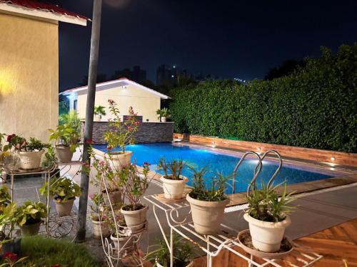 a group of potted plants sitting next to a swimming pool at GoBravo 37 - 2Bhk Farm with Pool & Garden Sec150 Noida in Greater Noida
