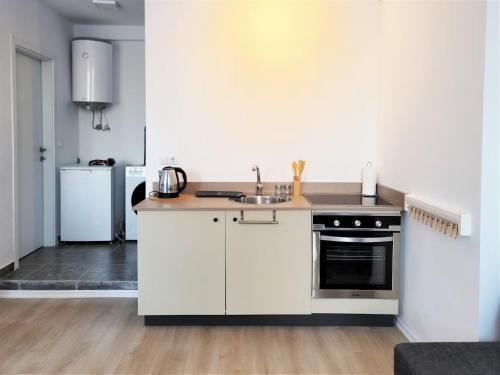 Kuchyň nebo kuchyňský kout v ubytování Central Studio Apartment