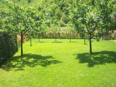 two trees in a field of green grass at Villa Poesie in Gallicano