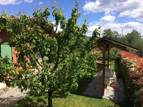 an apple tree in the yard of a house at Villa Poesie in Gallicano