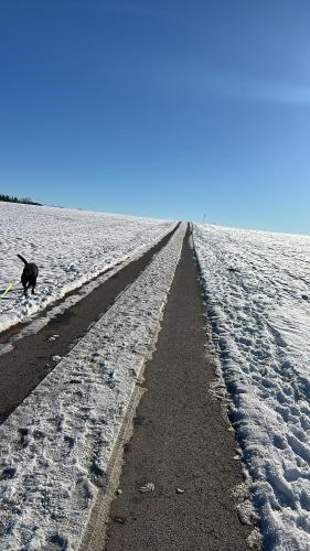 a long road in the middle of a snow covered field at 5 Sterne Ferienwohnung im Schwarzwald Schramberg in Schramberg