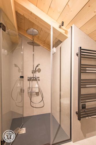 une douche avec une porte vitrée dans une salle de bain dans l'établissement Appartement 6 chambres séjour ski, au Grand-Bornand