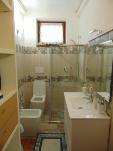 a bathroom with a shower and a toilet and a sink at Podere Luma Camera Melograno in Gambassi Terme