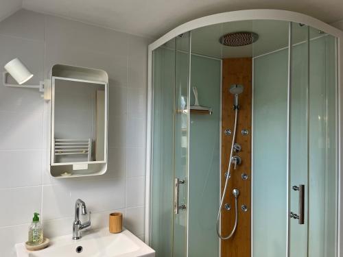 une salle de bain avec une douche, un lavabo et un miroir dans l'établissement Ty Jeanne classé 3 étoiles, à Ploubazlanec