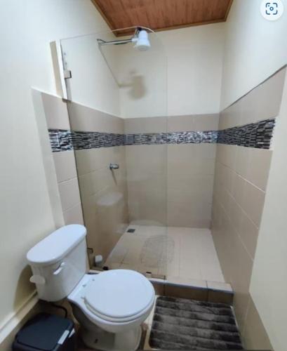 a small bathroom with a toilet and a shower at Vista Lapas Cottage in Guayabal