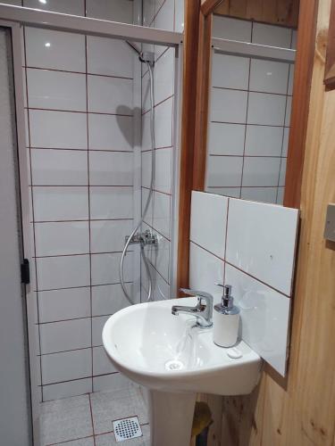 a bathroom with a sink and a shower at Cabaña irenio in Panguipulli