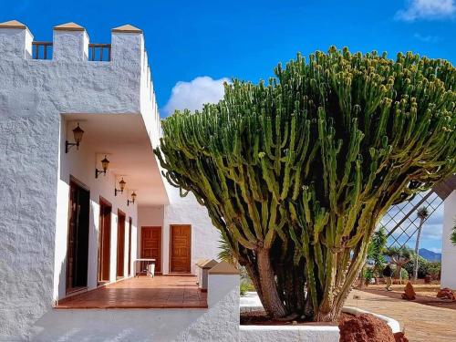 Villa Nagallo by Holiday Home Management Ftv