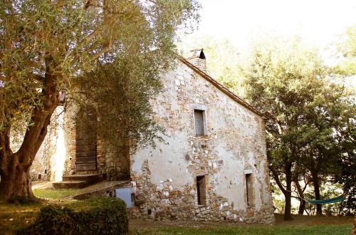 Zahrada ubytování Casa Il Sàrperi In Montecatini Val Di Cecina