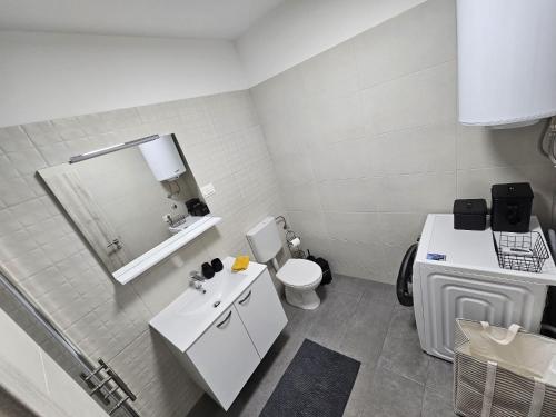 a bathroom with a toilet and a sink and a mirror at LaNiMa LUX in Žminj