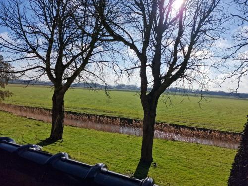 two trees in a field with the sun behind them at Tussen Wad en Dijk - Vakantieappartement in Sint Jacobiparochie