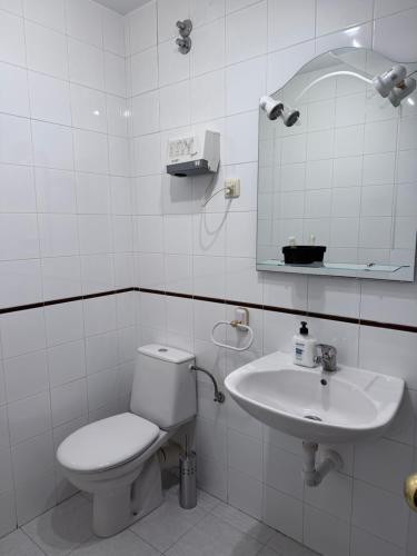 a white bathroom with a toilet and a sink at el valle hostal restaurante in La Pradera de Navalhorno