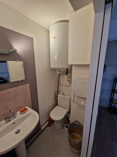 une petite salle de bain avec toilettes et lavabo dans l'établissement Le Cocon Du Lac Villers Sur Mer, à Villers-sur-Mer