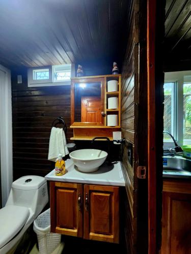 Koupelna v ubytování Cabaña Alpina