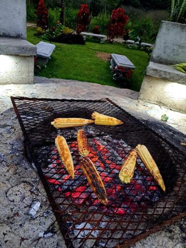 Barbacoa disponible para clientes en el camping