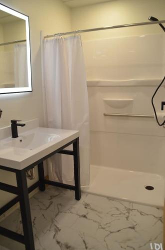 a white bathroom with a sink and a shower at Luxury ADA Unit - 101 in Wilmington