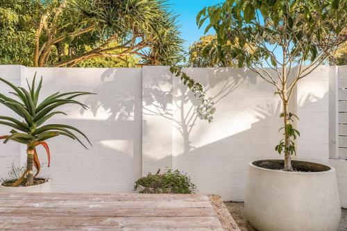 two trees in a pot next to a white fence at Peter St South Golden Beach Abode Family Luxury at Beach in South Golden Beach
