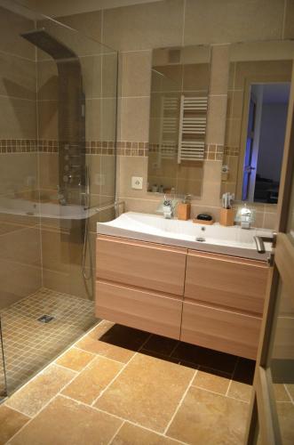 une salle de bain avec un lavabo et une douche dans l'établissement Agréable 2p entre Antibes et Juan les Pins, à Antibes