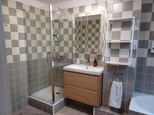 ein Badezimmer mit Dusche und Waschbecken in der Unterkunft Le Repaire des Hirondelles - Le Schopf in Scharrachbergheim Irmstett