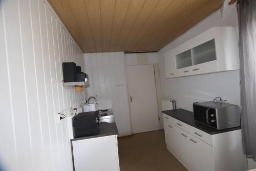 eine kleine Küche mit Mikrowelle und Spüle in der Unterkunft SEA YOU- Ruhige Wohnung mit Terrasse nur 5 Minuten zur Müritz in Marienfelde