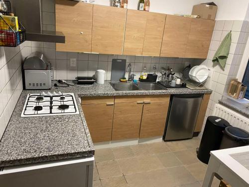 a kitchen with a sink and a stove top oven at Southern Sun in Tilburg