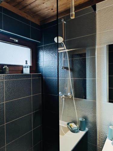 a bathroom with a glass shower and a sink at Le havre du lac in Vielsalm