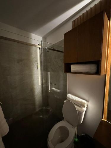 a bathroom with a toilet and a glass shower at Punta Paraiso Departamento in Isla de Redo