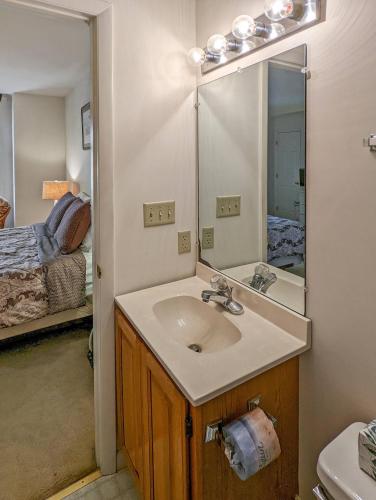un baño con lavabo y espejo en Marsh Point - Screened Porch & Shared Dock!, en Black Point Landing