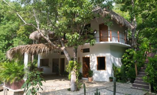 Κήπος έξω από το Casa Lucy Oaxaca
