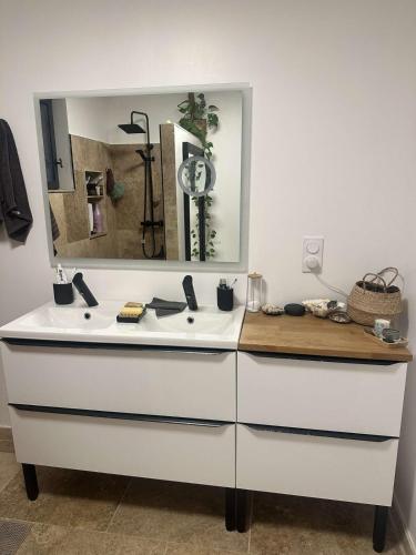 une salle de bain avec un lavabo blanc et un miroir dans l'établissement charmante petite maison - piscine hors sol - proche Avignon, à Avignon