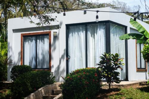 Gallery image of The Bohemian Lagarto in Santa Cruz