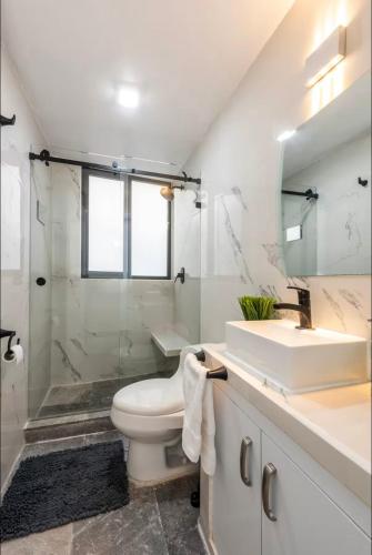 a bathroom with a toilet and a sink and a shower at Departamento en Coyoacán 8 in Mexico City