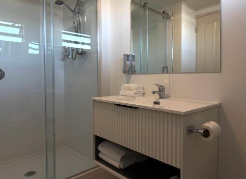 a bathroom with a sink and a shower at Bluewater Hotel in Napier