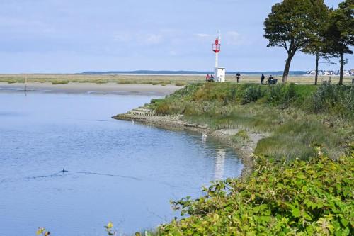 Photo de la galerie de l'établissement Les cigognes gites de la reserve, à Grand-Laviers