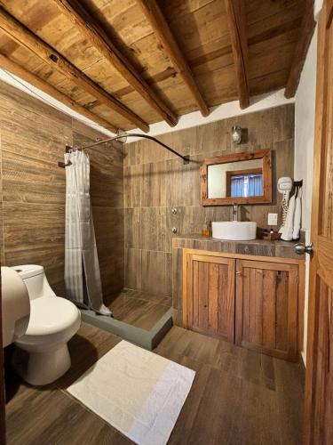 a bathroom with a toilet and a shower and a sink at Hotel bugambilias in Valle de Bravo