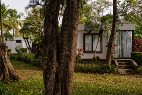 Gallery image of The Bohemian Lagarto in Santa Cruz