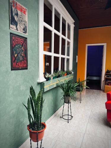 a room with potted plants on the side of a building at Hostal Mamaquilla in Pasto