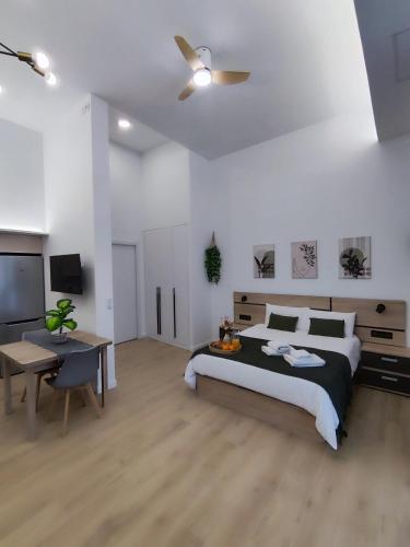 a bedroom with a large bed and a desk and a television at Apartamento Río Turia Pingüino in Valencia