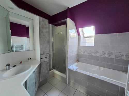 une salle de bain avec une baignoire, un lavabo et une douche dans l'établissement La Belle Villès, à La Ville-ès-Nonais