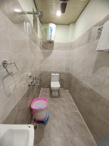 a bathroom with a pink toilet and a sink at Hotel Keshav Kunj in Ayodhya