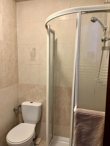 a bathroom with a toilet and a shower at Agapella Apartamemty- Villa Agapella 250m from the beach in Sopot