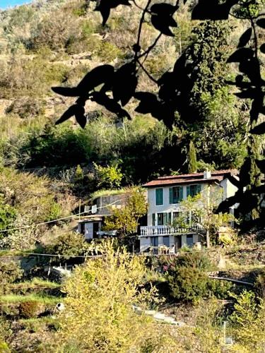 a house on the side of a hill at Casale in campagna ristrutturato in Apricale