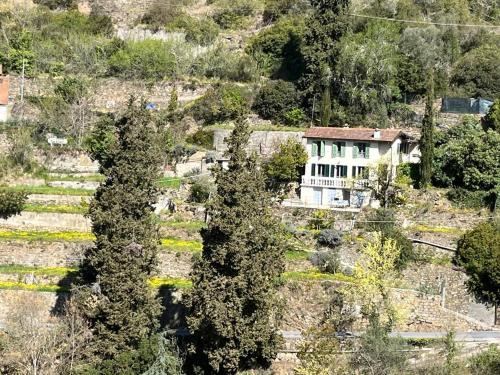 an aerial view of a house on a hill with trees at Casale in campagna ristrutturato in Apricale