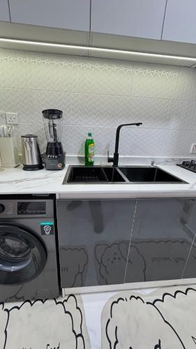 un bancone da cucina con un lavello e una lavatrice di Triangle a Lekki