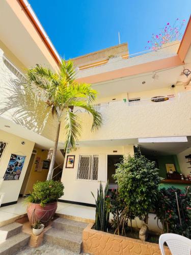 a palm tree in the middle of a building at Casa D'mer Taganga in Taganga